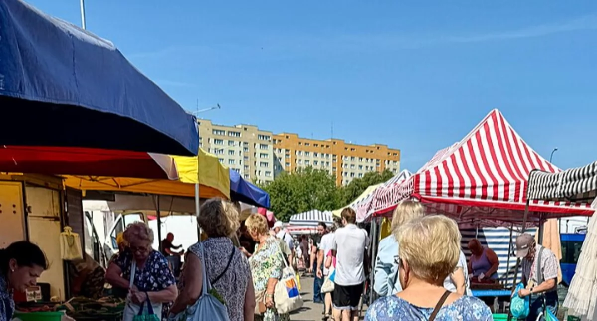 Fot. Cybularny/Wikimedia Commons
