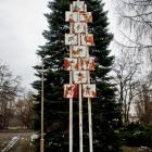zdjęcie nr 13