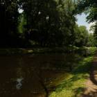 zdjęcie nr 10