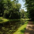 zdjęcie nr 19