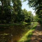 zdjęcie nr 11