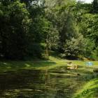 zdjęcie nr 16