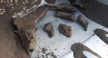 Przy budowie metra archeolodzy mają co robić!