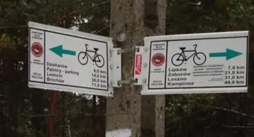 Najlepsze trasy rowerowe na Bemowie. Zaplanuj wycieczkę rowerową w swojej okolicy