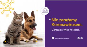 Zmiany w funkcjonowaniu Schroniska Na Paluchu